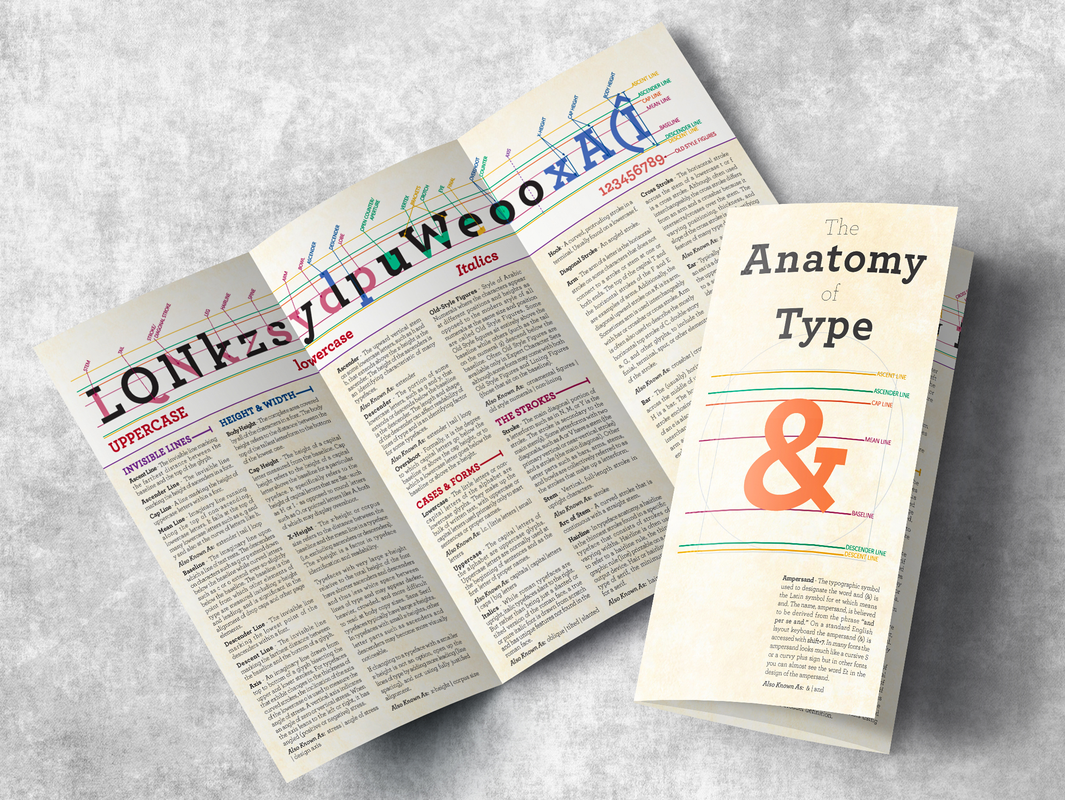 Anatomy Of Type Brochure Anatomy Of Type Brochure