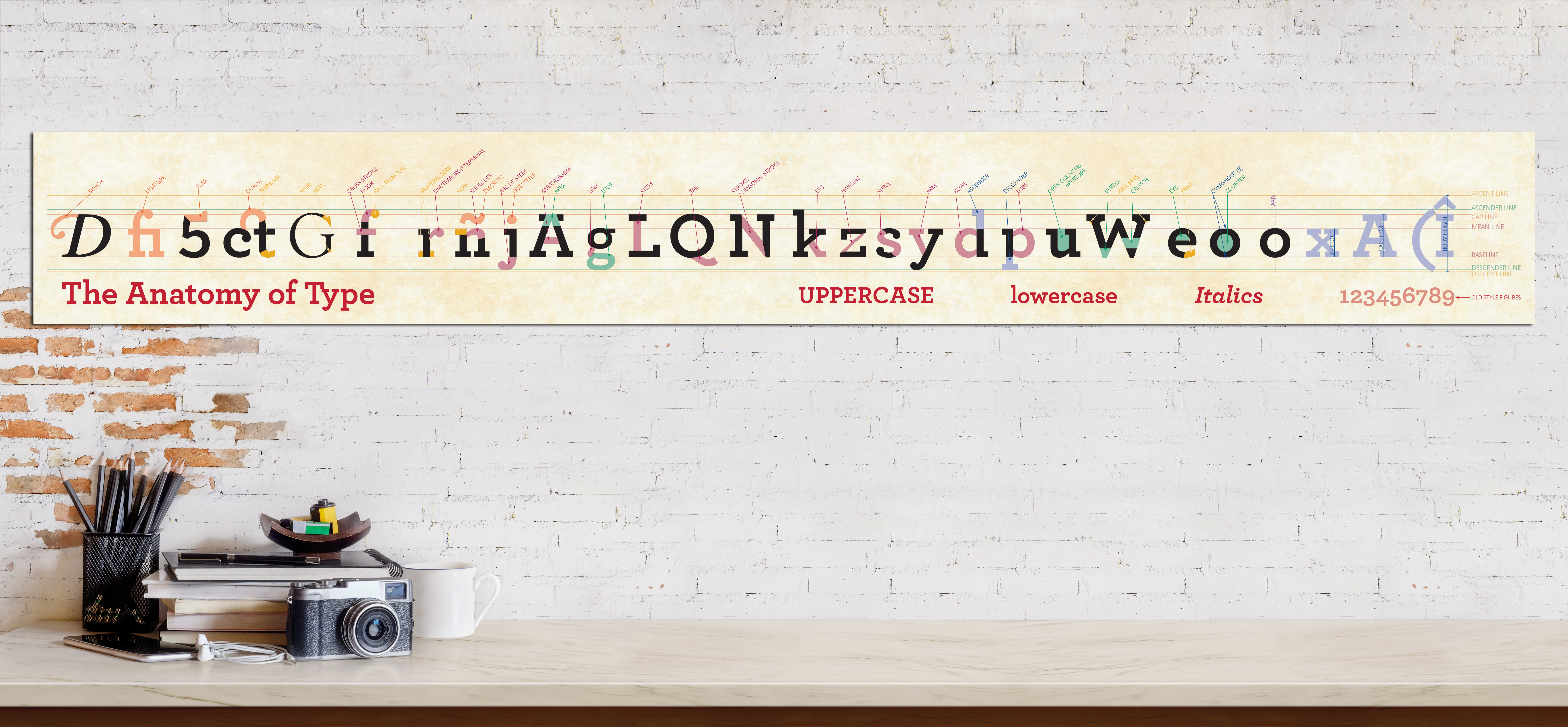 Anatomy Of Type Wall Border Anatomy Of Type Wall Border